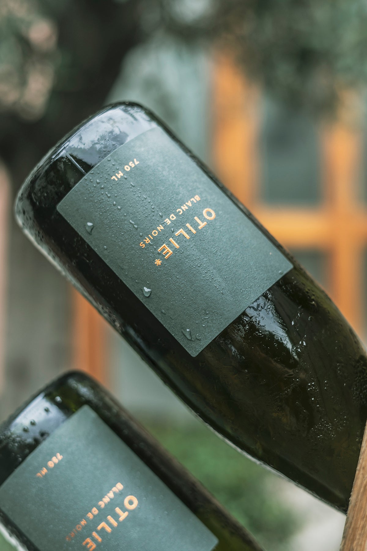 OTILIE | CHAMPAGNE UNPLUGGED